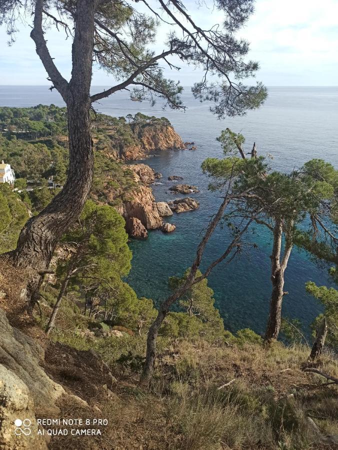 Domus Aurea Apartment Palamos Exterior photo